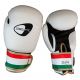 Boxhandschuhe PU Italien GetFit GF738